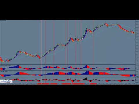 Forex strategy secrets nth degree