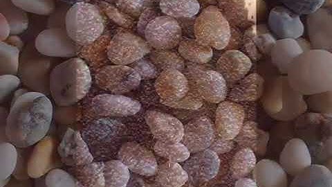 Xưởng sản xuất vật liệu lọc nước: cát thạch anh, than hoạt tính,nước cấp và nước thải.