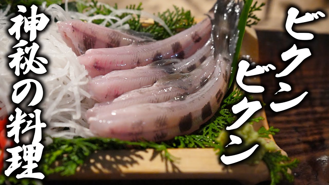 奇食 山女魚の踊り食いや岩魚の刺身を年末に堪能したい Youtube