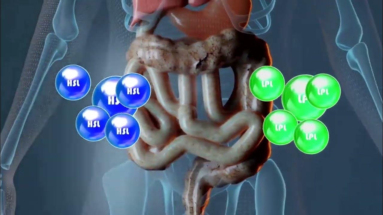 Milex Power Juicer + 7 Day Detox Plan YouTube