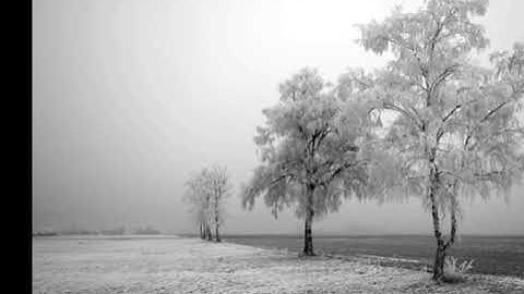 قران كريم قُلْ يَٰعِبَادِىَ ٱلَّذِينَ أَسْرَفُواْ عَلَىٰٓ أَنفُسِهِمْ ۚ سورة الزمر