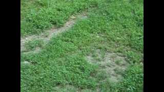 Zensko Stene Doktor X Beta Ostenjeno 20.03.2012