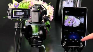 Panasonic - Camcorders - Function - How to control your camera using the Panasonic Image App. screenshot 5