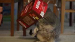 Nestle Makes The Very Best