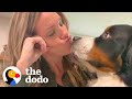 Very Needy Bernese Mountain Dog Figures Out How To Get Mom&#39;s Attention | The Dodo