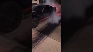 2012 Shelby Searching For A Crowd To Hit