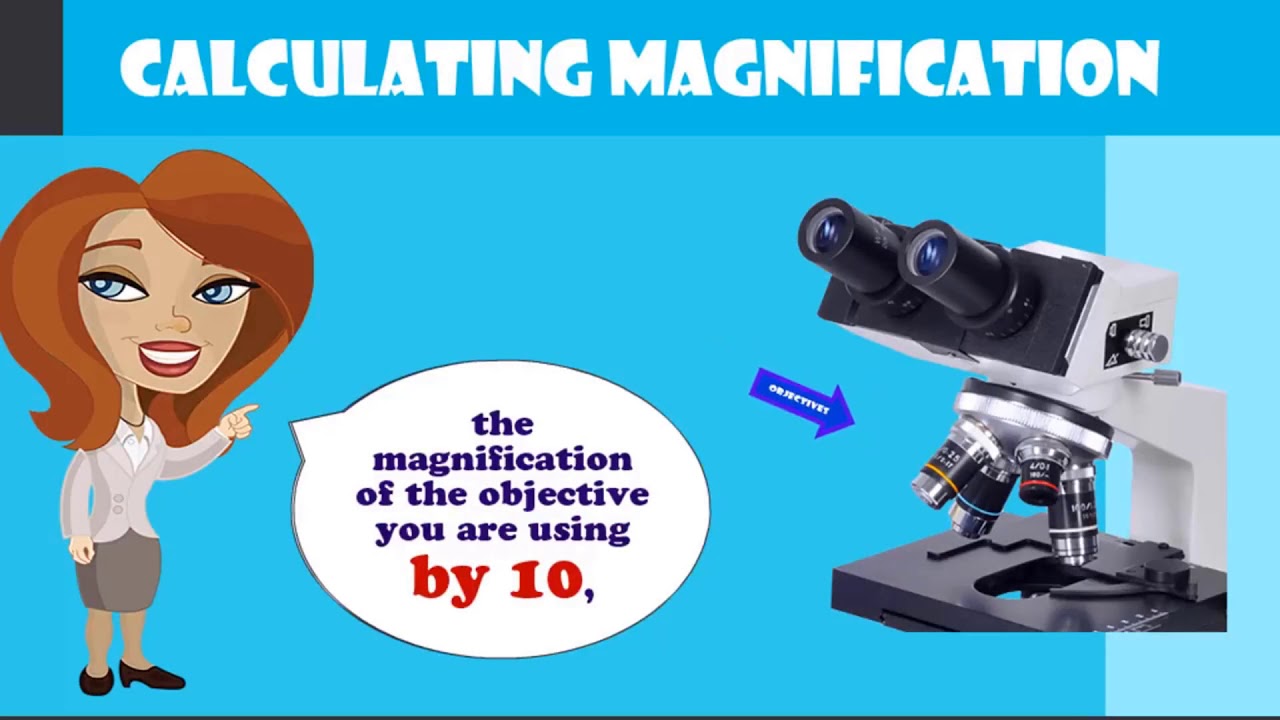 How To Calculate Total Magnification On A Compound Microscope