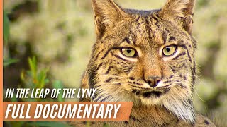 The Leap Of The Lynx | Full Documentary in High Quality