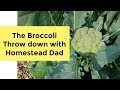 The Broccoli Throw down with Homestead Dad ~SuttonsDaze