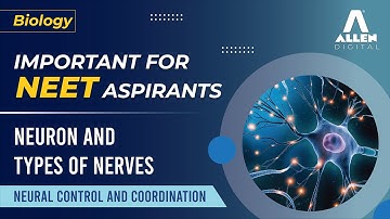 Neural control and Coordination | Important topic for NEET Aspirants |  Neuron and types of Nerves