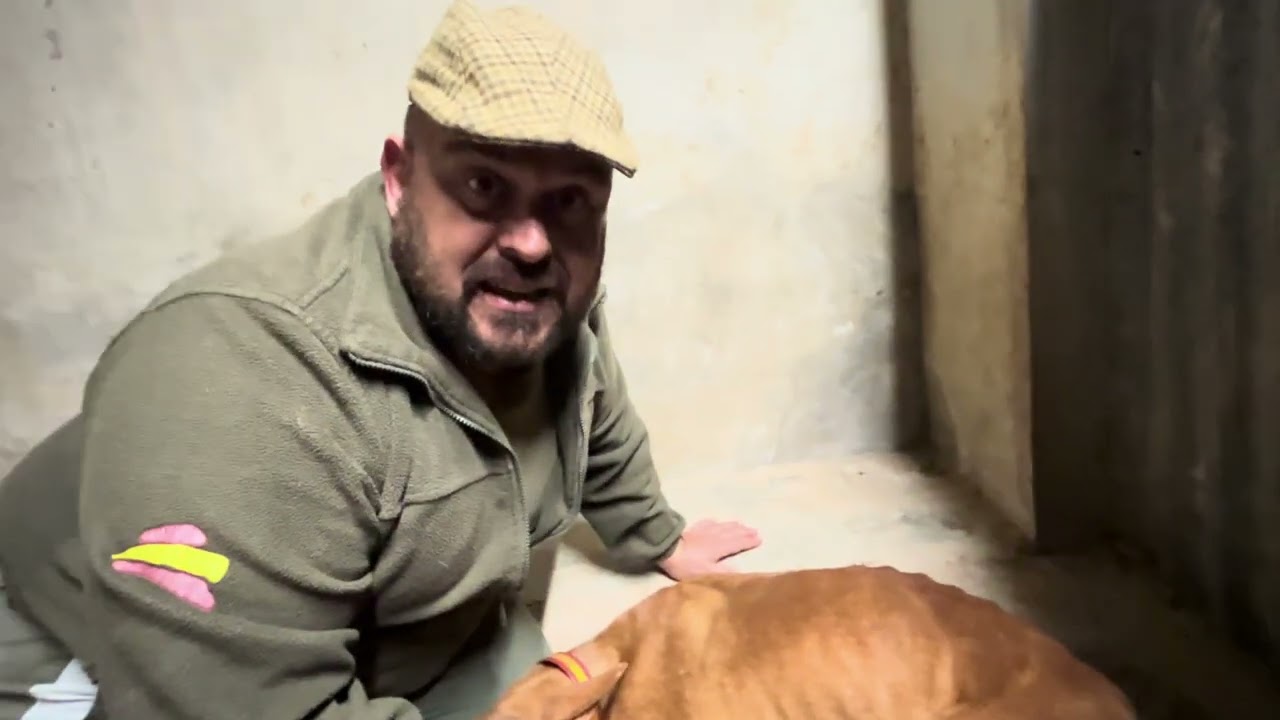 Camperos ya terminó de parir la Perla.Vamos a ver cuántos niños y niñas ha tenido!!👍🥰Siempre Parriba