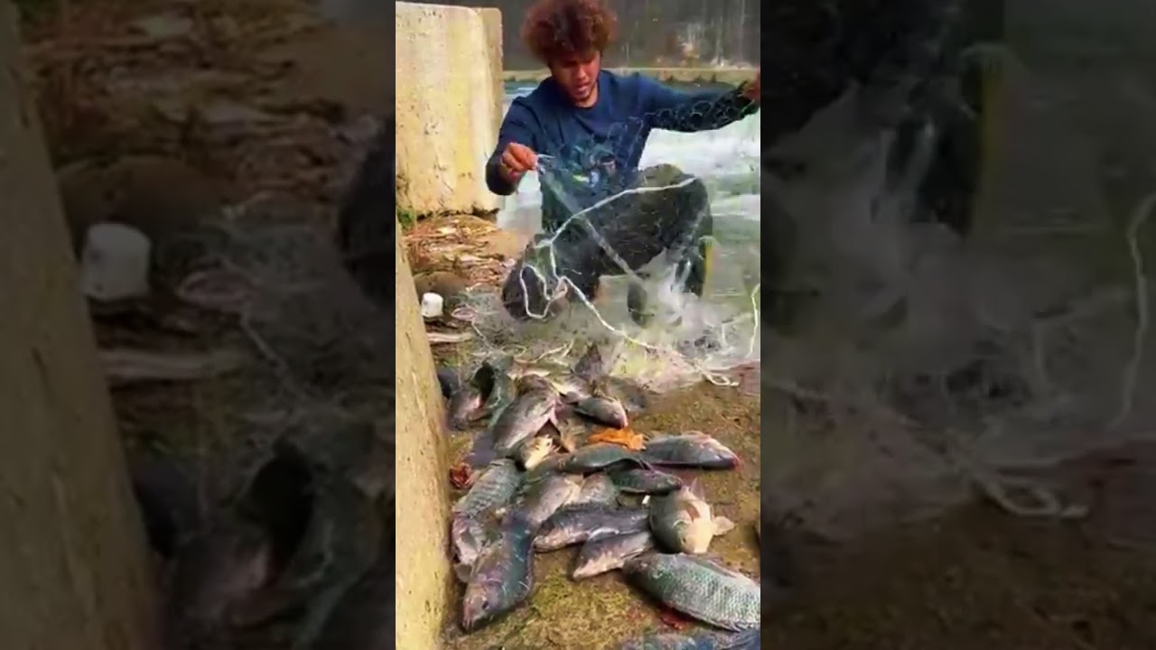 👉👍🦈Best Net Fishing in river , I Threw a Net Once… and THIS Happened 😳