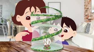 Insect Lore Animation - Butterfly Garden