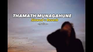 Thamath Muna Gahune 💚 ( Slowed   Reverb ) #slowedandreverb #sinhalasongs #lovesong