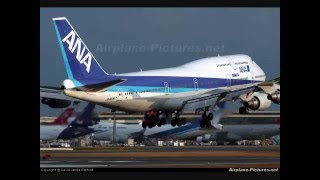 All nippon airways tribute