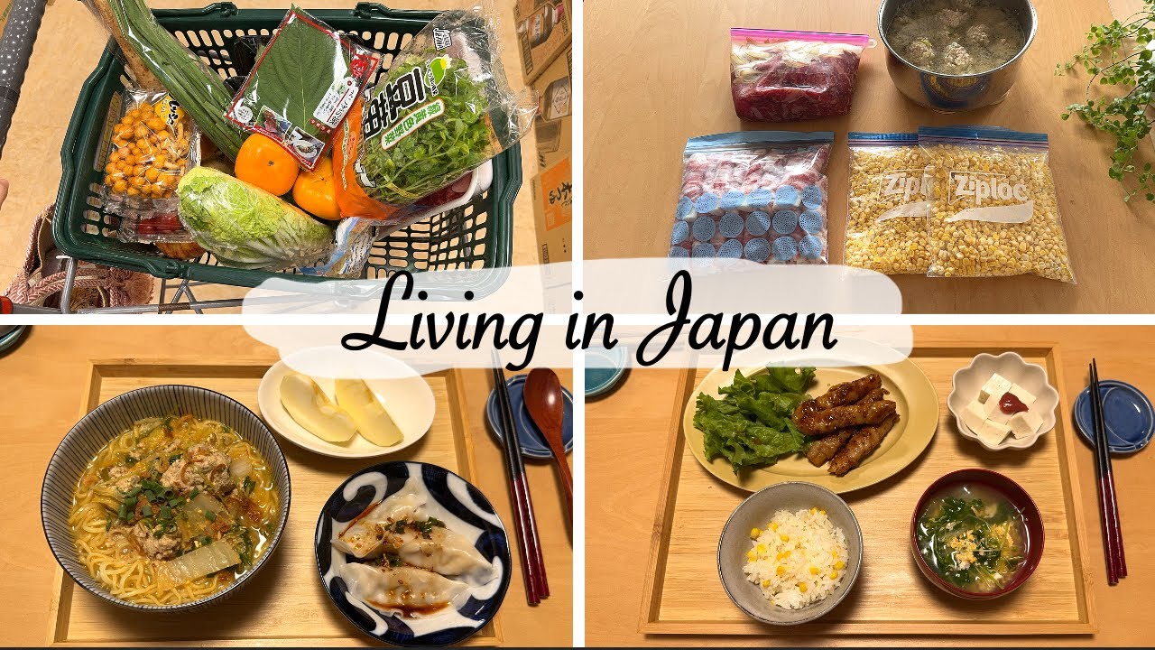 Покупка продуктов и замороженные наборы для ужина на 4 насыщенных будних дня | Японский видеоблог