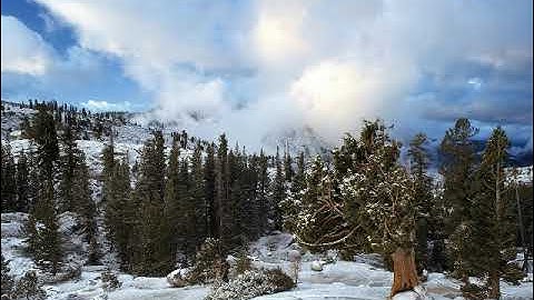 سورة النبأ بصوت القارئ يحي احسايني