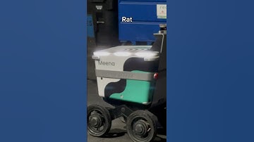 Meena the Food Delivery Robot Snitches Too Much #deliveryrobot #automation #ai #robotics #funny