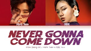 Mark Tuan & BIBI - Never Gonna Come Down (From Marvel Studios’ Shang-Chi) 가사 Color Coded Lyrics ENG