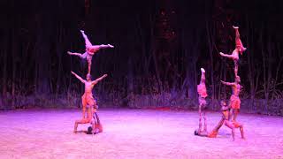 Cavalia odyseeo _ Acrobat _ on live