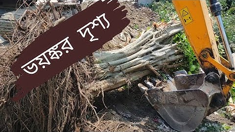 JCB Vs BIG TREE powerful jcb pushing down a big tree - JCB video !!