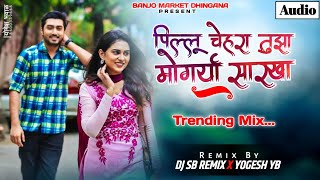 Pillu Chehara Tuza Mogarya Sarkha (Trending Mix) Akshay Garadkar - DJ SB REMIX X YOGESH YB