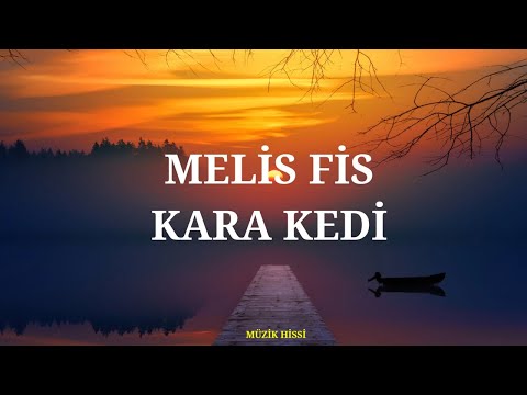 Melis Fis - Kara Kedi (Sözleri/Lyrics)