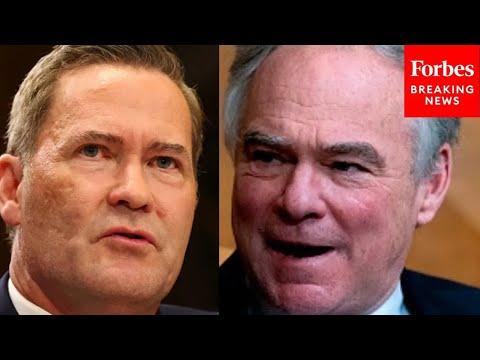 'An Amateurish Move': UN Ambassador Mike Waltz's Fieriest Congressional Grillings | 2024 Rewind
