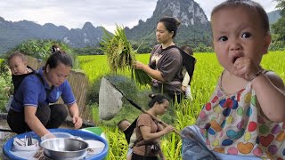 full: harvesting agricultural products, building a new and eventful life for a mute single mother