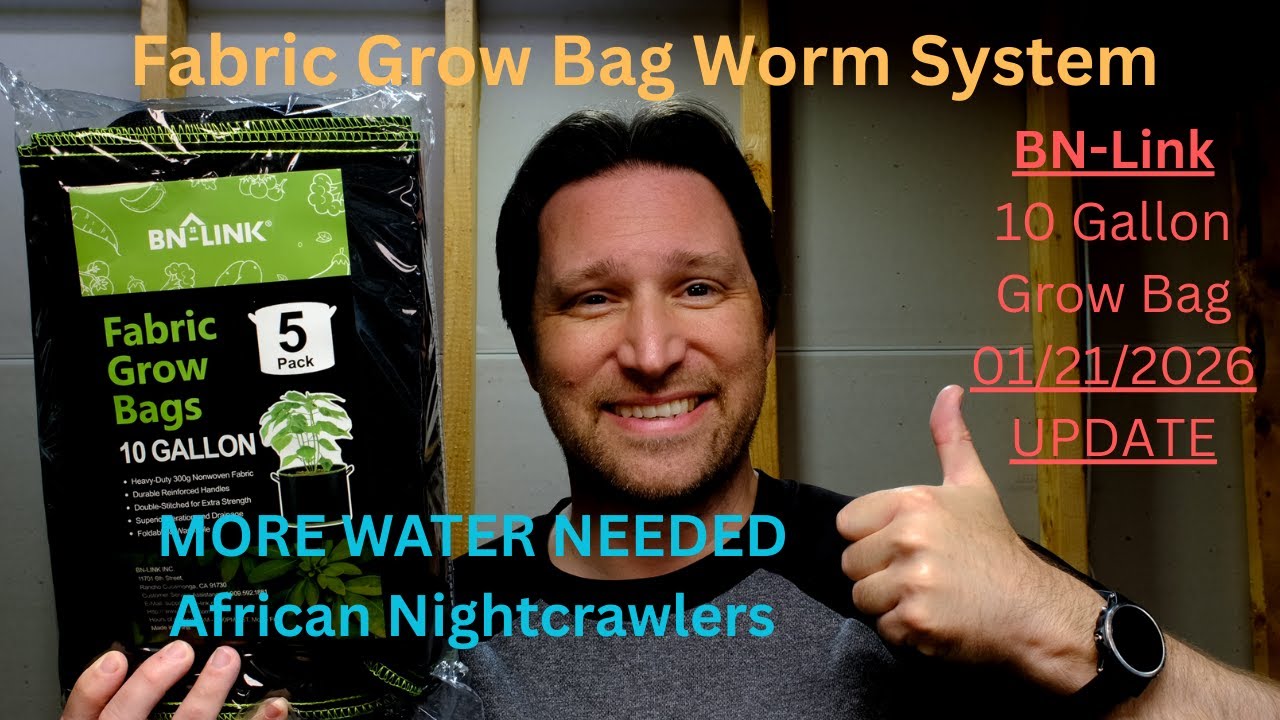 Вермикомпост в 10-галлонном мешке для выращивания – Обновление от 21 января 2026 г.