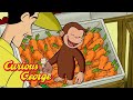 Where do vegetables come from  curious george  kids cartoon