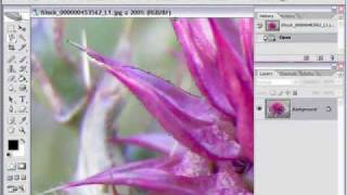 photoshop cs4 Selection Secret