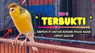 TERBUKTI❗Suara PANCINGAN Kenari Paud BeLajar BUNYI NgeriwiK || MASTERAN Kenari Paud #104