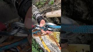 Tebing arispurwadi bee honey nature