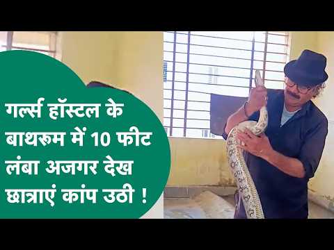 MP के गर्ल्स हॉस्टल के बाथरूम के अंदर 10 फीट का अजगर देख कांप उठीं छात्राएं ! MP Tak