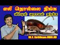      how to get rid of rats in home  dr karthikeyan tamil