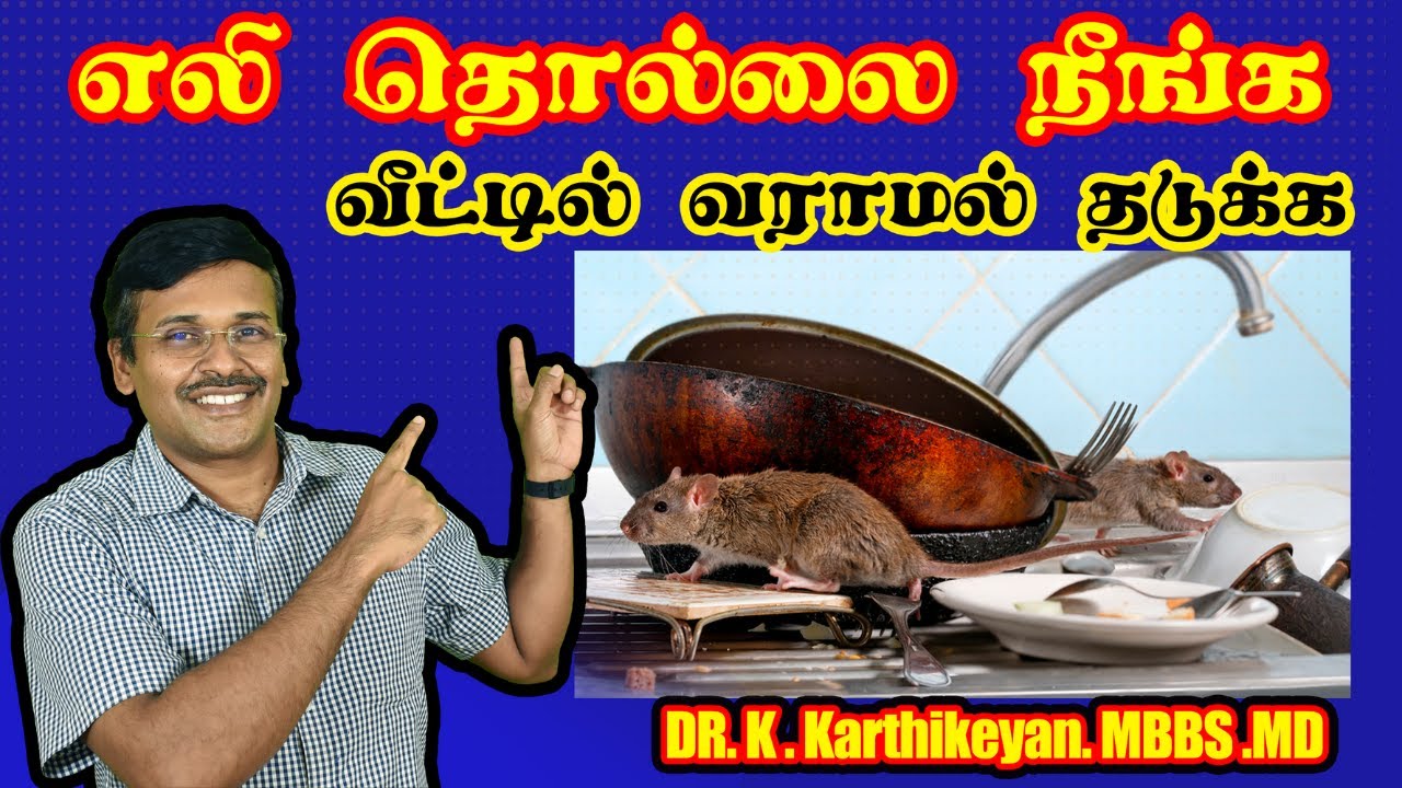 எலி தொல்லை நீங்க ? / How to get rid of Rats in home? / dr karthikeyan