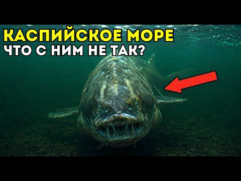 What is wrong with the Caspian Sea? Why is everyone staying silent?