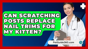 Can Scratching Posts Replace Nail Trims For My Kitten? - PetGuide360.com