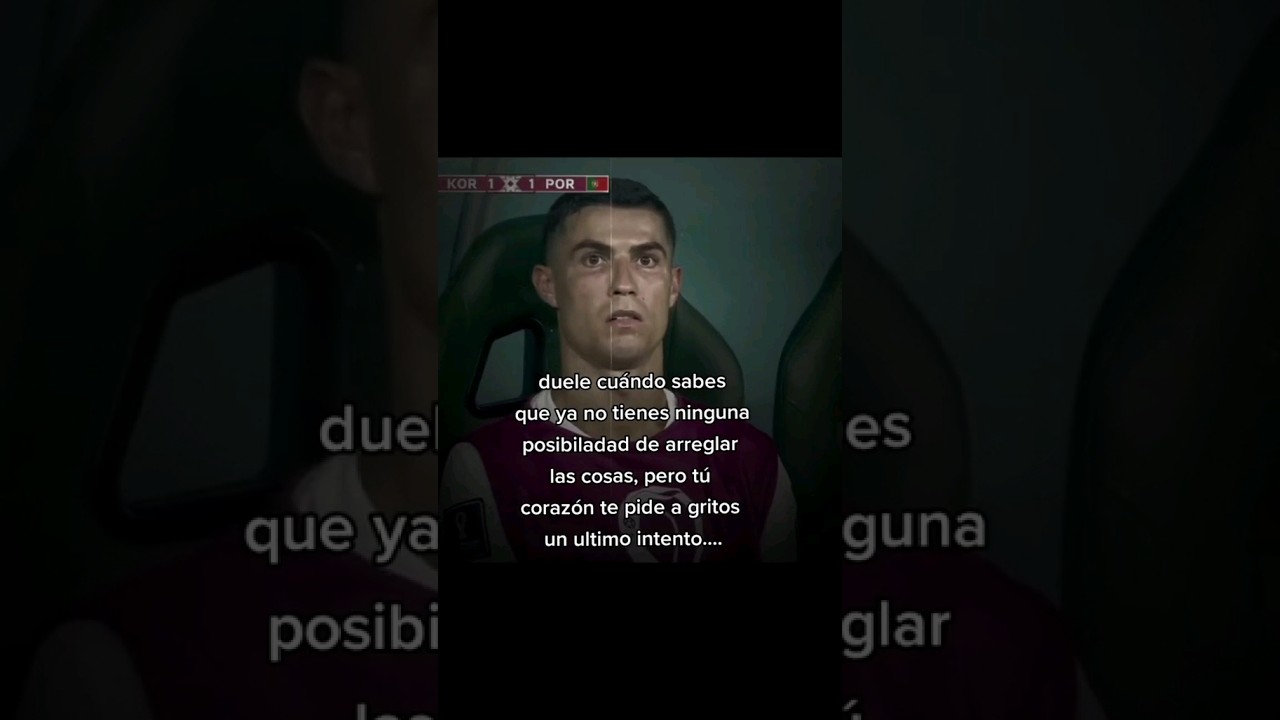 Un ultimo intento 😿 