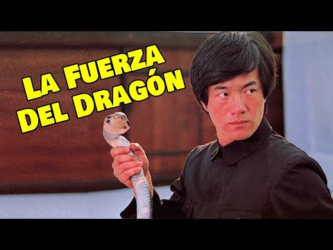 Video Wu Tang Collection - La Fuerza del Dragón - Dragon... - youtube