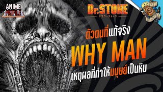 ตัวการที่ทำให้มนุษยชาติกลายเป็นหิน WHY MAN ► Dr.Stone I AnimeProfile EP.32