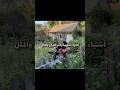 خبروني إذا بدكم بارت 2 💗