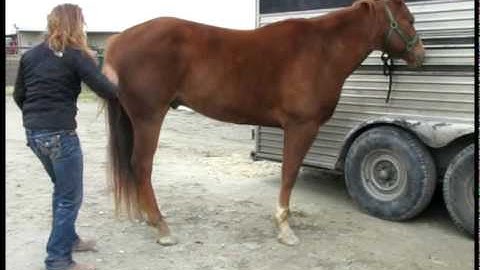 Valley View Ranch  - Feller Mac Murdaugh -   *For up-to-date info, price, etc., go to our website*