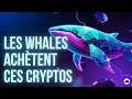 Top cryptos acheter par les whales  que font les riches et la smart money 