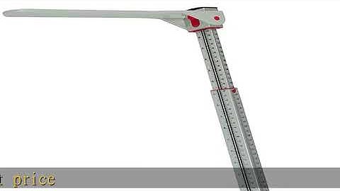 Seca 769 Digital Column Scale