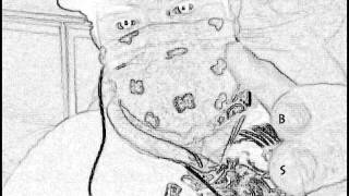 Baska Feat Braka Square - Mi Luv Insension Mix