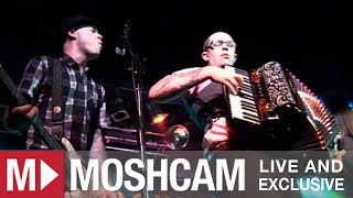 Flogging Molly - The Devil&#39;s Dance Floor | Live in Sydney | Moshcam