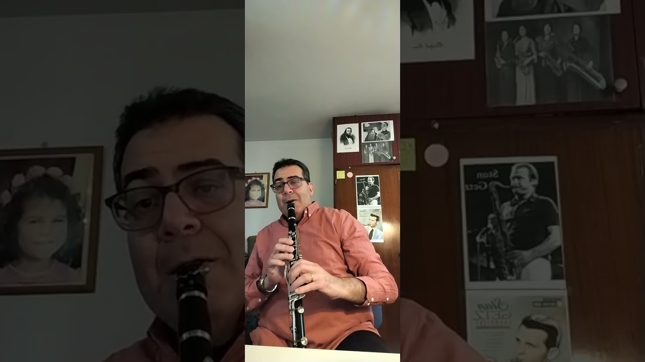 Stranger on the shore ( new version ) - clarinet covered by Mixy