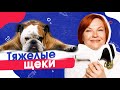 Комки Биша. Эффективно ли удаление комков Биша? Бэби Фейс - что делать с тяжелыми щеками?